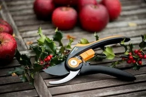 قیمت خرید قیچی باغبانی عمده به صرفه و ارزان